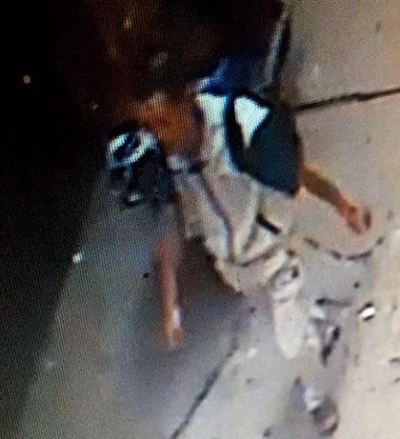 Tổ chức rà soát nhân chứng và phân tích hình ảnh camera an ninh, Cơ quan Công an xác định đây là vụ án nghiêm trọng, nạn nhân bị hung thủ cưỡng hiếp và sát hại dã man. Cũng rất nhanh lực lượng điều tra xác định, nơi cô gái tử vong là phòng của một thanh niên tên Nguyễn Anh Tú (SN 1983, trú tại quận Đống Đa, Hà Nội) đã thuê. Trước khi phát hiện vụ việc, nhân chứng vẫn thấy nam thanh niên xuất hiện tại ngôi nhà này. Nghi can được biết là người kín tiếng, hầu như không giao lưu với các phòng trọ khác.