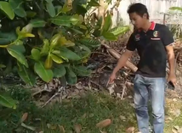 Mèo cưng chạy tới bụi rậm kêu thảm thiết, người đàn ông phát hiện kinh hoàng... - Hình 2 Meo cung chay toi bui ram keu tham thiet, nguoi dan ong phat hien kinh hoang...-Hinh-2