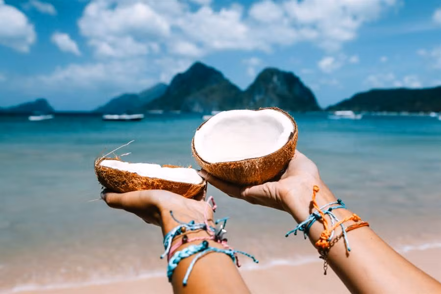 Giáo phái chỉ ăn dừa, mua cả hòn đảo dừa để sống... và kết bi hài Giao phai chi an dua, mua ca hon dao dua de song... va ket bi hai