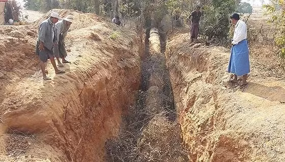 Theo tìm hiểu, những thân cây lớn chết khô này được phát hiện đầu tiên bởi một công ty chuyên về ngọc ở một ngôi làng thuộc tỉnh Magway, Myanmar.