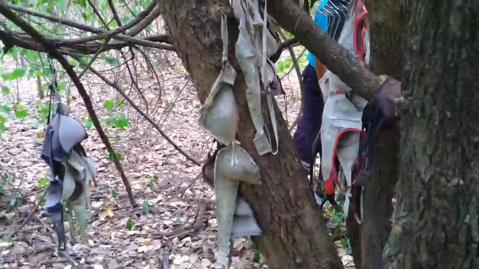 Kinh di cay do lot, ai di qua cung 