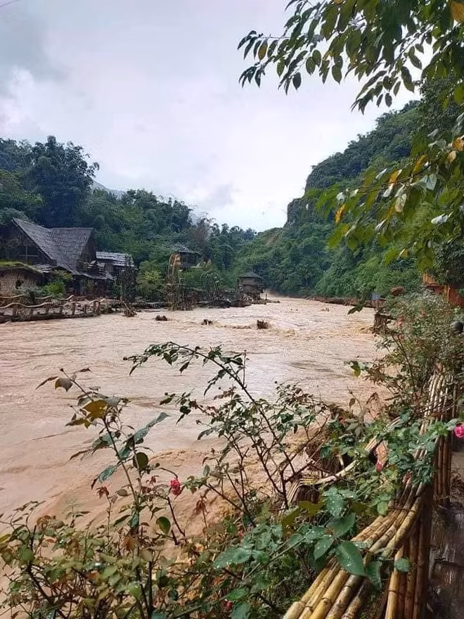 Vườn hoa hồng cổ Sa Pa và vườn hoa châu Âu bị nước lũ cuốn trôi gần hết.