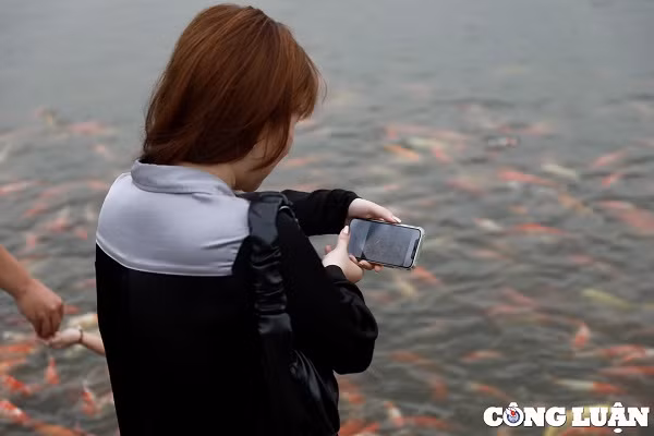 Gioi tre Ha Noi thich thu voi hang nghin chu ca Koi Ho Tay-Hinh-7