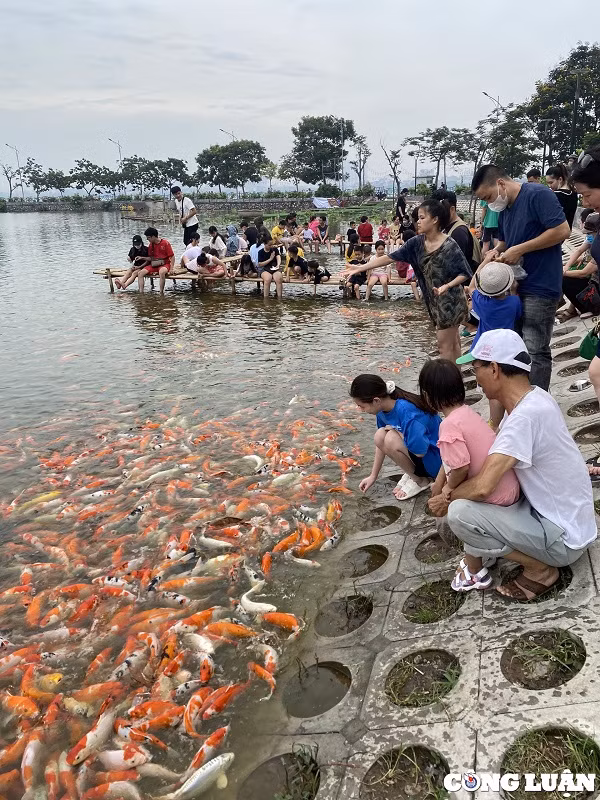 Gioi tre Ha Noi thich thu voi hang nghin chu ca Koi Ho Tay-Hinh-10