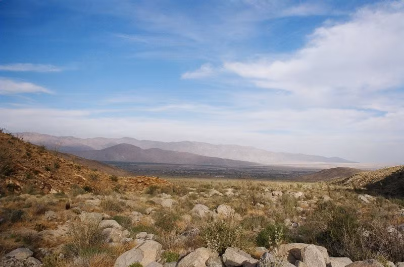 Chỉ ở những nơi có suối hoặc lạch chảy qua, Anza-Borrego mới hình thành những ốc đảo tươi tốt, hấp dẫn động vật kéo tới sinh sống.