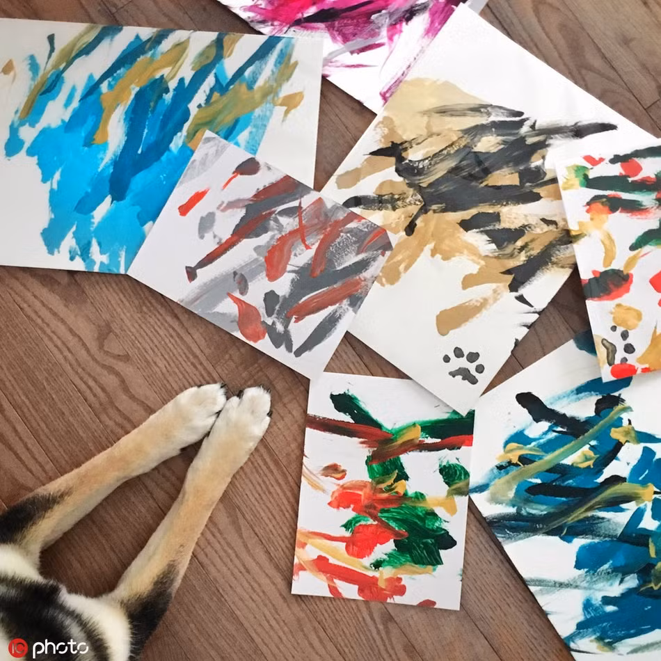 Theo chủ nhân của Hunter, chú chó cưng của anh thuộc giống Shinu Iba, rất thông minh. Chú ta được học vẽ dưới sự hướng dẫn của hai bậc thầy về hội họa là Kenny Au và Denise Lo.