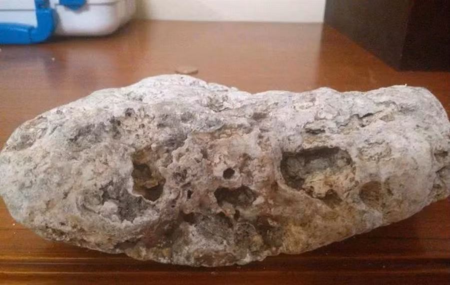 Đi dạo, nhặt được hòn đá "dị", giá trị tới gần 2 tỷ đồng Di dao, nhat duoc hon da