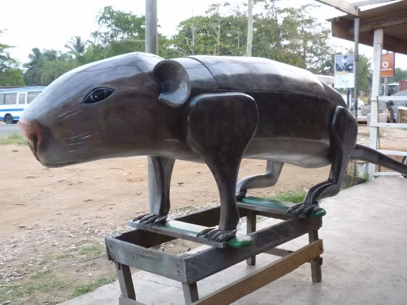 Vì vậy khi chôn cất, người Ghana cố gắng lựa chọn những chiếc quan tài thật đẹp, có hình dáng tượng trưng cho nghề nghiệp mà người đã khuất đã làm trước khi bước sang thế giới bên kia. Nhìn vào chiếc quan tài này, người quá cố sẽ nhớ được mình là ai, mình đã từng làm gì.