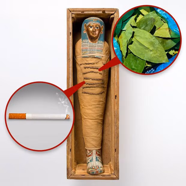 Cocaine và thuốc lá trong xác ướp Ai Cập: Khi phân tích hài cốt của Pharaoh Ramses Đại Đế, các nhà khoa học nhận thấy dấu vết của thuốc lá, cocaine và cần sa trong ruột của xác ướp. Không lâu sau, rất nhiều xác ướp khác cũng cho kết quả tương tự. Vấn đề nằm ở chỗ tất cả các chất này đến từ các loài thực vật bản địa của châu Mỹ, mà mãi đến tận thế kỷ 15 con người mới đặt chân lên đó. Hiển nhiên, phát hiện này trở thành bí ẩn khiến giới khoa học cảm thấy khó mà nuốt trôi. Nhiều gỉả thuyết được đặt ra: phải chăng người Ai Cập đã tìm ra châu Mỹ, chứ không phải là Columbus?