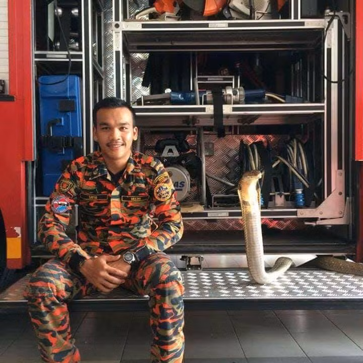 Hổ mang chúa chụp ảnh bên cạnh Safiq Mohamad.