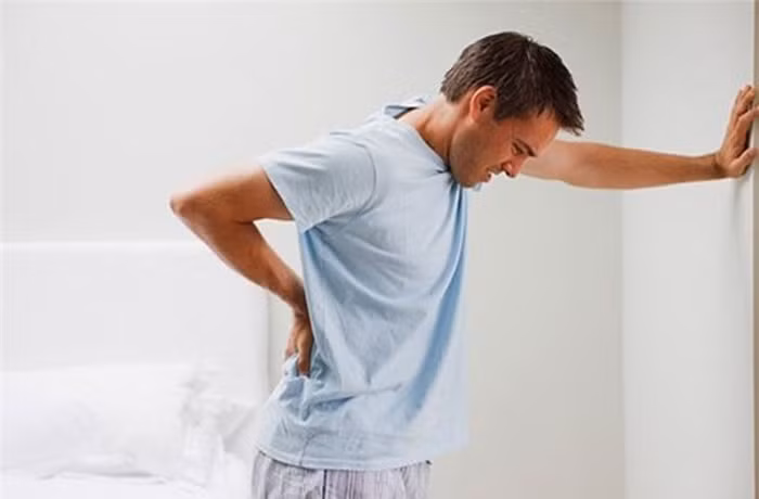 Trị huyết lâm, tiểu ra máu, nhiệt kết gây nên tiểu buốt. Dùng chi tử nhân 40g, đại hoàng 20g, đại thanh 20g, đông quy tử 40g, hồng lam hoa 20g, thanh tương tử 20g. Tất cả loại này sao khô và trộn đều cùng linh dương giác 40g. Mỗi lần dùng 12g, sắc uống khi nước còn ấm. Ảnh: Tuyentienliet.
