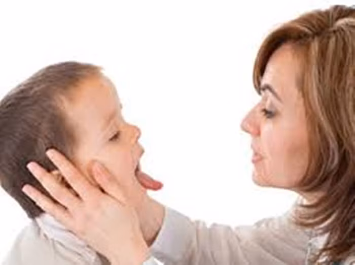 Chữa còi xương, nhiều đờm, cổ có hạch. Dùng thịt dơi băm cùng thịt lợn nạc, gia vị và chưng lên cho trẻ ăn. Cũng có thể dùng nấu thành canh ăn với cơm để trị bệnh nhiều đờm. Ảnh: Hoidapbacsy.