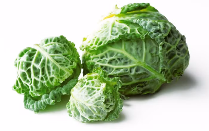 3. Rau bắp cải xoăn. Đây là loại rau giàu vitamin A, lá rộng và cùng họ với rau bắp cải, có lá màu xanh sậm, nhăn nhúm. Bắp cải xoăn là một trong những thức ăn giảm béo, chứa nhiều canxi và có lợi cho xương, đề phòng được ung thư. Ảnh: Vanvat.