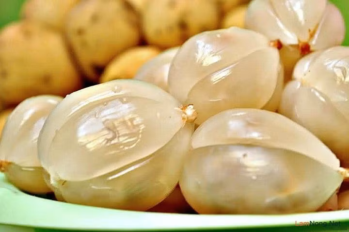4. Làm giảm cholesterol. Quả này kiểm soát tốt lượng cholesterol trong máu đồng thời tốt cho tim mạch bởi nó có chứa chất xơ hòa tan và pectin. Ảnh: lamnong.net.