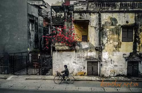 Người bạn phương Nam đã ghen biết bao nhiêu khi ước ao Sài Gòn đủ lạnh để diện những chiếc áo len ấm áp, được thả bộ trong không khí mùa đông đậm đà, giá buốt. Ảnh: Kienthuc.net.vn.