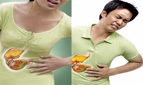 7. Tốt cho dạ dày Hạt cau hỗ trợ trong điều trị giun dạ dày như sán dây và giun đũa, giúp tránh được những vấn đề liên quan đến giun dạ dày. (Ảnh: Khỏe Đẹp 360)