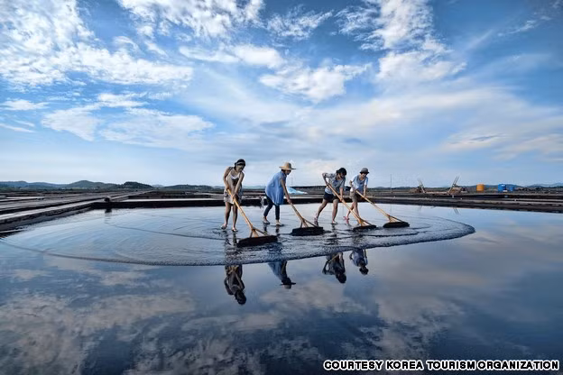  7. Jeungdo Salt Farm: Nơi đây được mệnh danh là hòn đảo kho báu, với những hiện vật từ thời nhà Tống được tìm thấy ở đáy biển. Nơi đây nổi tiếng với nước biển trong vắt, bãi biển mềm mại và các trang trại muối. 