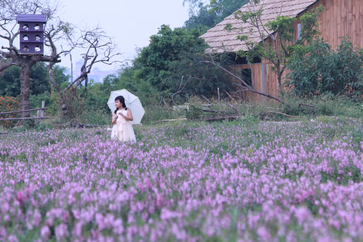 Chính vì vậy, nơi đây đã nhanh chóng được các bạn trẻ tìm đến để tạo dáng trong khung cảnh mơ mộng, lãng mạn.