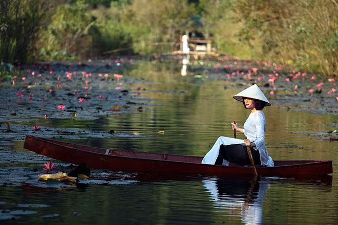 Khi những ánh nắng ban mai hanh dịu của mùa thu bắt đầu lấp ló sau đỉnh núi, từng đoàn thuyền chở du khách rời xa nơi thị thành ồn ã náo nhiệt xuôi xuôi theo dòng nước và cảm nhận bầu không khí chẳng những trong lành mà còn thăng bình, dịu dàng, lặng yên của suối Yến mùa hoa súng nở.