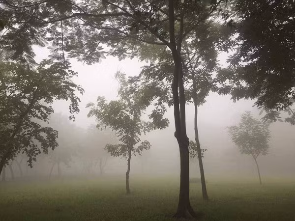 Giải thích hiện tượng này, trên trang Pháp luật TP HCM, ông Lê Đình Quyết, Phó Trưởng phòng dự báo Đài Khí tượng thủy văn khu vực Nam Bộ, cho biết hiện tượng này thỉnh thoảng xuất hiện trong mùa mưa ở Nam bộ. (Ảnh: Pháp luật TP HCM)