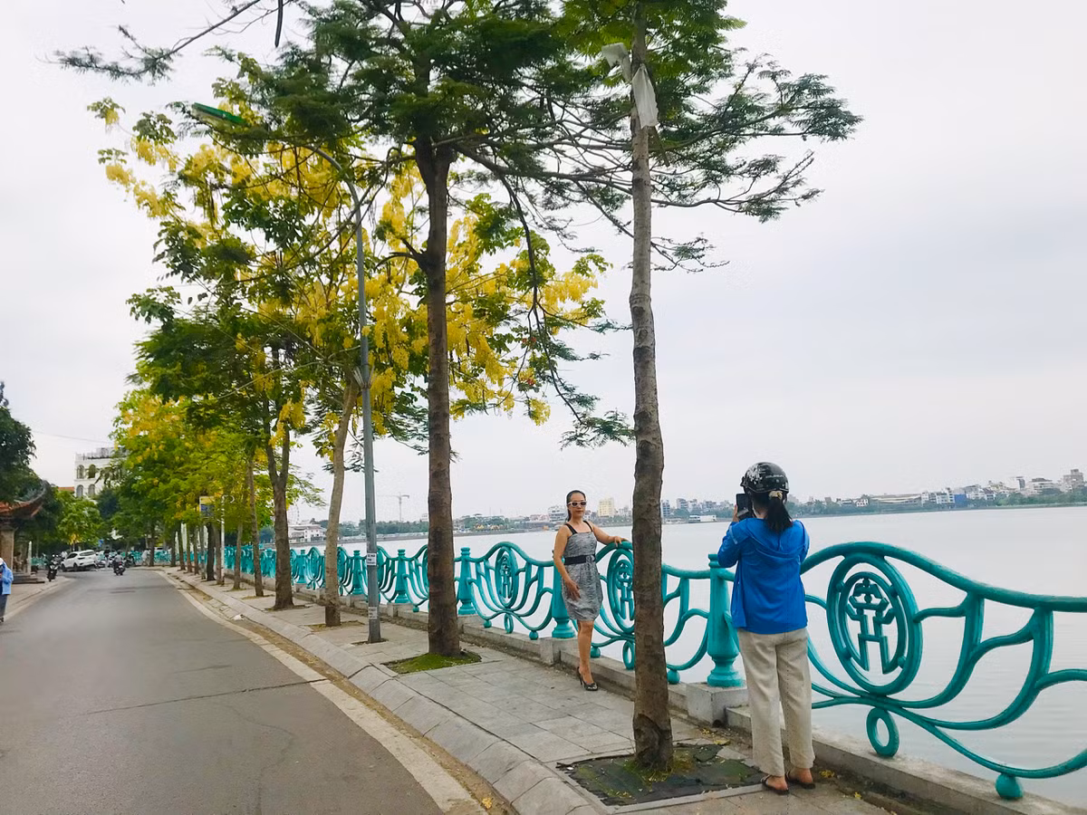 Người dân tranh thủ chụp hình và ngắm sắc hoa đặc trưng của mùa hè.