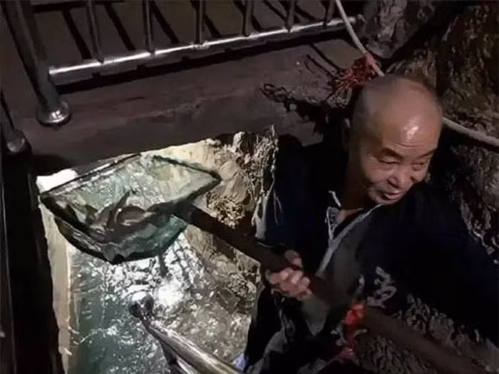 Cá trong suối liên tục xuất hiện vào mùa lũ hàng năm, mang lại nguồn thu nhập lớn cho gia đình ông thông qua việc bán cá và đón khách tham quan.(Ảnh:DNVN)