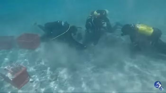 Một thợ lặn vô danh phát hiện kho báu này khi lặn sâu dưới thảm cỏ biển gần thị trấn Arzachena.(Ảnh: DNVN)
