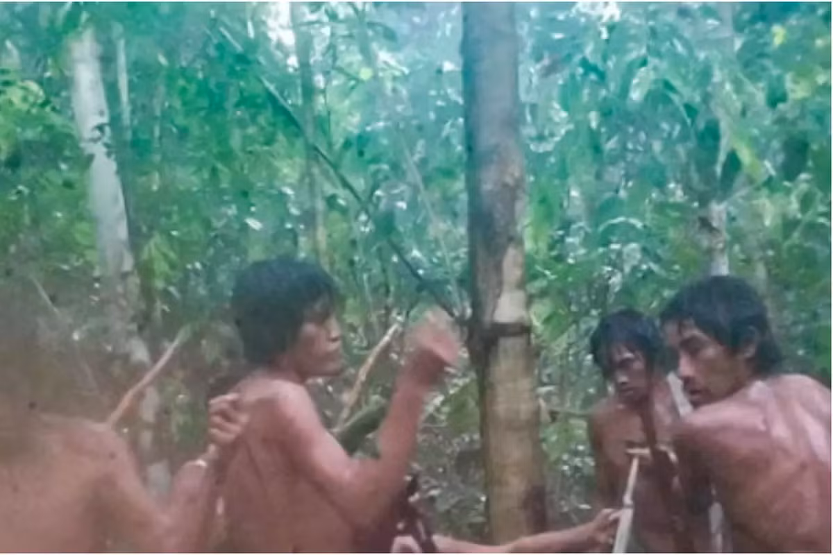 Họ không mặc quần áo, sử dụng cung dài 3 mét để săn bắn, và thường di chuyển làng theo mùa trong rừng.(Ảnh: Libertatea)