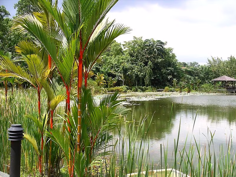 Vườn bách thảo Singapore là khu vườn nhiệt đới đầu tiên được UNESCO công nhận là Di sản thế giới. Ảnh: Wikipedia.