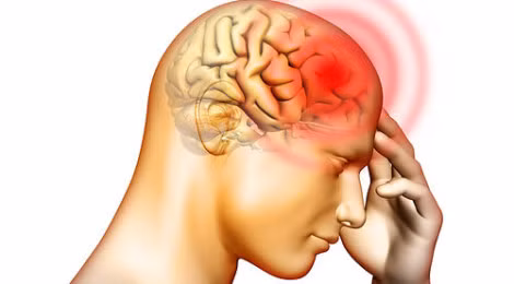 Đối với não – bộ chỉ huy của các hoạt động thì càng nặng hơn. Não bộ sẽ phải gánh trọng trách 2 chức năng, viên giải rượu và rượu sẽ nhanh chóng khiến não bị sa sút về nhận thức, rối loạn hành vi... Ảnh: Ritajethani81.