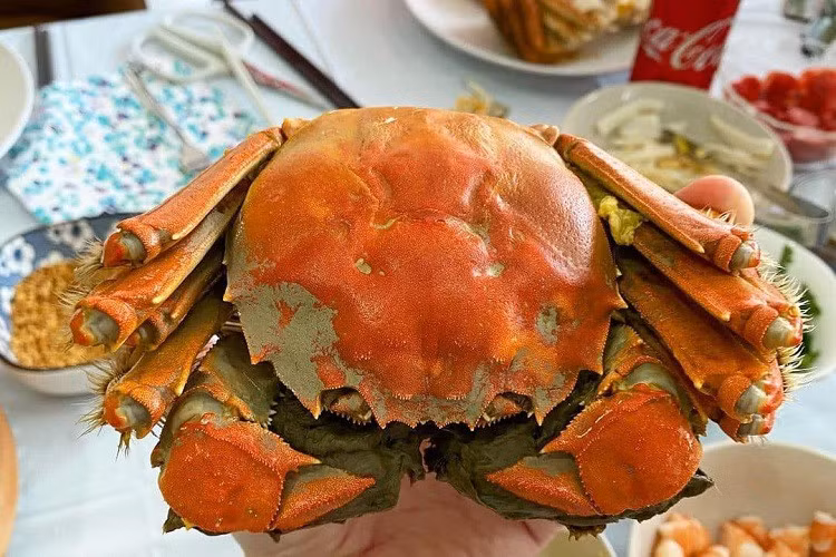 Nuoi loai cua “dac san” cua Trung Quoc, thu hang ti dong moi vu