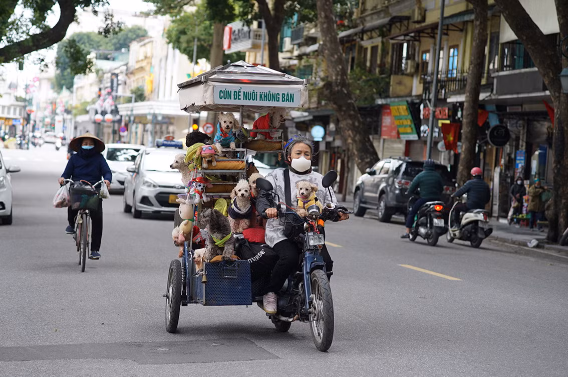 Trên phố đã xuất hiện nhiều người ra đường với mục đích đi dạo, ngắm phố.