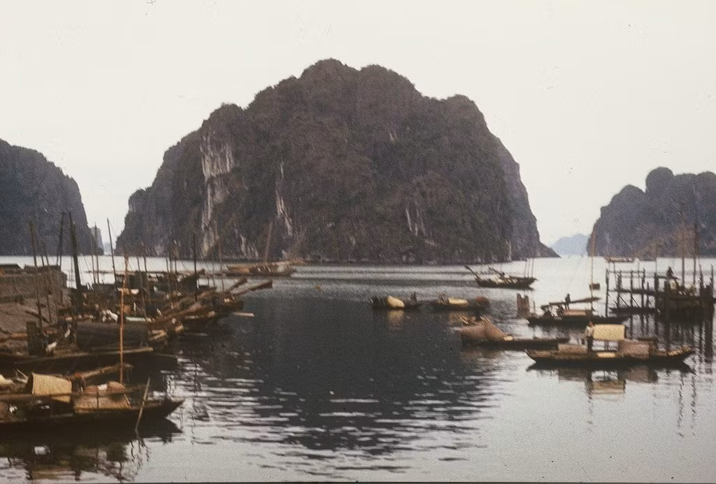 Xóm chài bên vịnh Hạ Long. Ảnh: Günter Mosler.