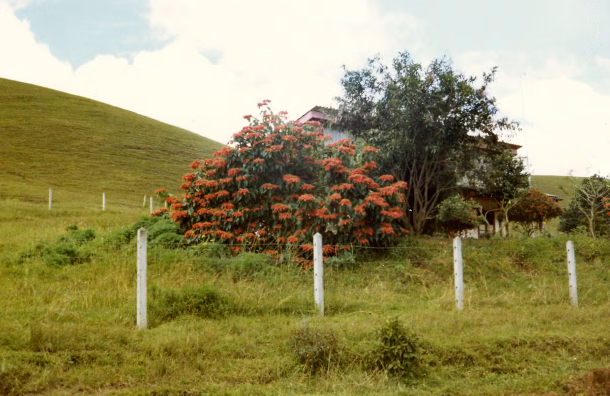 Khung cảnh ngoại ô Đà Lạt. Ảnh: Tom Petersen.