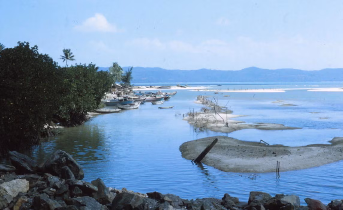 Làng chài gần thị trấn Sông Cầu. Ảnh: Steve.