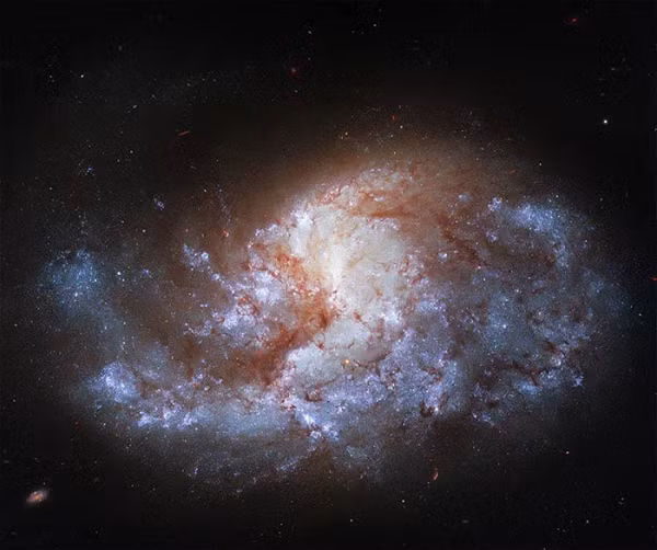  Thiên hà xoắn ốc tuyệt đẹp có tên là NGC 1385 được phát hiện lần đầu tiên vào ngày 17/11/1784 bởi nhà thiên văn học người Anh gốc Đức William Herschel.
