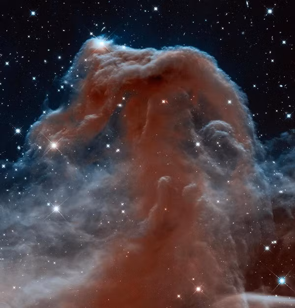  Tinh vân Đầu ngựa được kính thiên văn Hubble chụp vào tháng 4/2013. Nó có hình dạng như một con cá ngựa và có tên khác là Barnard 33.