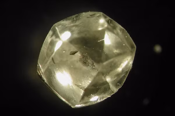 Không những thế, Trái đất còn biến xác của những sinh vật này thành tạo vật đẹp đẽ nhất, quý nhất trong số các viên kim cương được con người săn lùng.