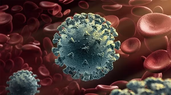 Các nhà nghiên cứu cũng cho rằng sự biến đổi kháng nguyên sẽ tích tụ dần dần ở virus SARS-CoV-2 và cuối cùng khiến các vắc xin hiện tại mất tác dụng.