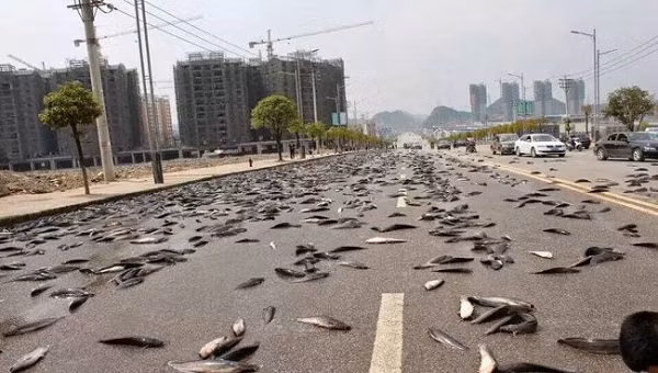 Những hiện tượng này khiến mọi người đặc biệt tò mò tìm lời giải đáp. Tuy nhiên, theo các nhà khoa học đây không phải là một hiện tượng kỳ bí mà hoàn toàn có thể giải thích bằng khoa học.