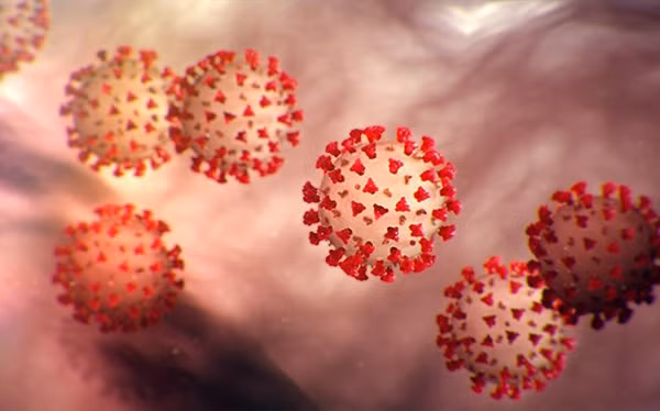 SARS-CoV-2 là một Coronavirus có bộ gene sợi RNA đơn dạng xoắn, tương đương với mRNA (messenger RNA) của tế bào ký chủ, khi vào được bên trong tế bào sẽ nhanh chóng chế tạo các vật liệu cần thiết (gồm các protein và enzym) để sinh sản nhiều sợi RNA, tạo ra các SARS-CoV-2 mới.