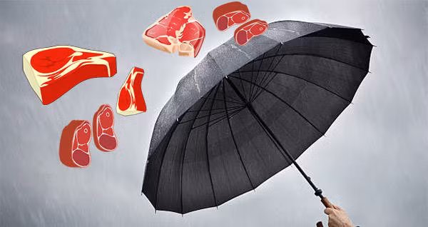Những người tò mò khác khi nghe tin đã tìm đến trang trại của bà Crouch để “mục sở thị” cơn mưa thịt kỳ lạ này, hai người trong số này đã nếm thử loại thịt lạ trên và kết luận nó là thịt cừu hoặc thịt nai.