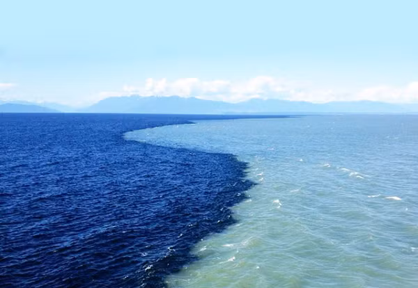 Về lý thuyết, AMOC có thể sụp đổ do một lượng băng tan có kích cỡ bằng Greenland và tốc độ tan băng tại khu vực này thật sự đáng báo động.