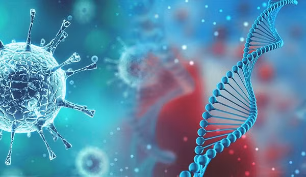 Biến thể tiếp theo mới được ghi nhận của virus SARS-CoV-2 là Lambda. Biến thể Lambda (biến thể C.37) được phát hiện lần đầu tiên vào tháng 8/2020 ở Peru và đang rất được quan tâm theo dõi.