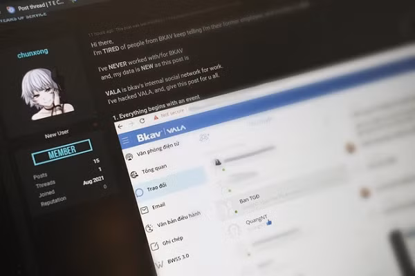 Trước đó, một thành viên trên diễn đàn RaidForums đã rao bán nhiều dữ liệu nội bộ của BKAV. Người này cho biết đã hack được BKAV và đang nắm giữ nhiều thông tin quan trọng như mã nguồn phần mềm diệt virus BKAV Pro, BKAV Mobile Security, các tài liệu nội bộ như báo cáo dự án, quản lý nhân sự...