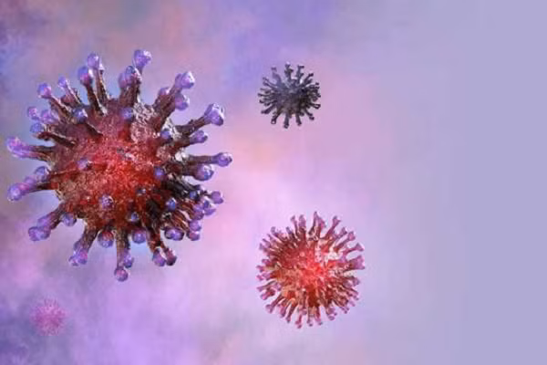 Sau khi đưa mẫu vật vào thiết bị, nuclease bị bất hoạt bởi nhiệt và hai chất phản ứng hóa học. Sau đó, ARN của virus được tách ra và tập trung nhờ dẫn nước bọt qua một tấm màng.