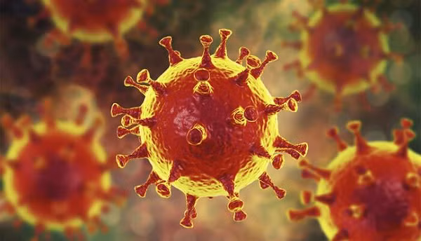 Nhà virus học Mỹ: “Vì sao Delta là biến thể đáng sợ, khủng khiếp nhất?” Nha virus hoc My: “Vi sao Delta la bien the dang so, khung khiep nhat?”