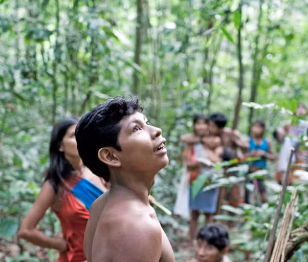 6. Bộ tộc Awa, Brazil: Được biết đến là bộ tộc có nguy cơ tuyệt chủng cao nhất hành tinh, theo ghi chép, có khoảng 100 trong số 600 thành viên bộ lạc này vẫn duy trì lối sống du mục trong rừng nhiệt đới Amazon dọc biên giới Brazil-Peru. Ảnh: Independent.