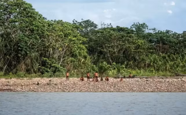 4. Bộ tộc Mashco Piro, Peru: Theo báo cáo, khoảng 15 bộ lạc không tiếp xúc với bên ngoài ở Peru, bao gồm cả Mashco Piro, tất cả đều phải đối mặt với những nguy cơ tiềm ẩn khi ngành khai thác dầu và khai thác gỗ phát triển. Ảnh: NY.