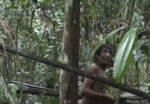 3. Bộ tộc Kawahiva, Brazil: Theo Times Of India, người Kawahiva có lẽ đã buộc phải áp dụng lối sống du mục trong những thập kỷ gần đây do nạn phá rừng ở rừng nhiệt đới Amazon. Ảnh: SI.